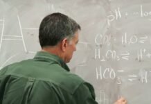 ਪੰਜਾਬ ਦੇ ਸਰਕਾਰੀ ਅਧਿਆਪਕ ਘਰ-ਘਰ ਜਾ ਕੇ ਕਰਨਗੇ ‘ਨਸ਼ੇੜੀਆਂ ਦੀ ਗਿਣਤੀ’! ਪੱਤਰ ਜਾਰੀ