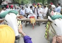 Qila Raipur Rural Olympics 2026- ਪੇਂਡੂ ਓਲੰਪਿਕ ਕਰਵਾਉਣ ਦਾ ਪੰਜਾਬ ਸਰਕਾਰ ਨੇ ਕੀਤਾ ਐਲਾਨ! ਮਿਲਣਗੇ ਮੋਟੇ ਇਨਾਮ