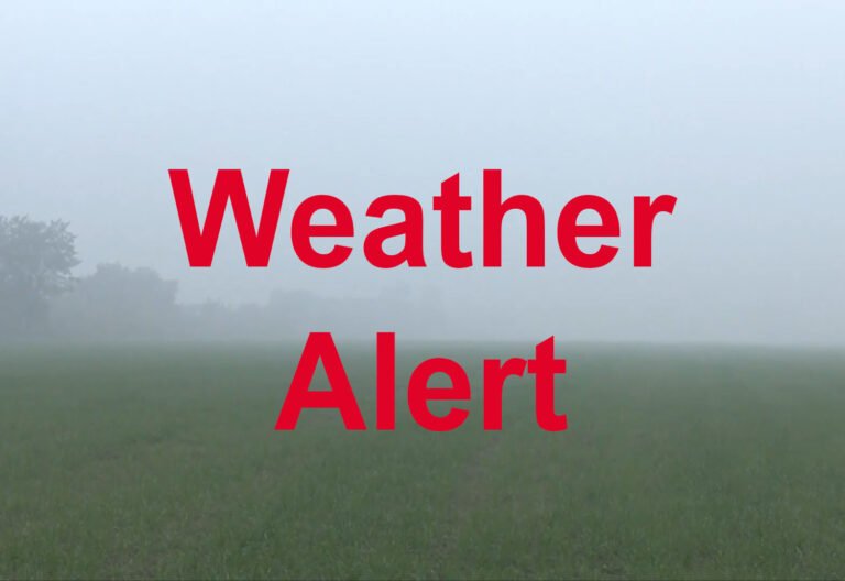 Weather Alert: ਮੌਸਮ ਵਿਭਾਗ ਦਾ ਵੱਡਾ ਅਲਰਟ! ਪੰਜਾਬ ਦੇ 16 ਜ਼ਿਲ੍ਹਿਆਂ ‘ਚ ਭਾਰੀ ਮੀਂਹ ਅਤੇ ਤੇਜ਼ ਤੂਫ਼ਾਨ ਦੀ ਚੇਤਾਵਨੀ