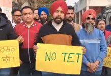 Exclusive Story: ਅਧਿਆਪਕਾਂ ਦੀਆਂ ਨੌਕਰੀਆਂ ਖ਼ਤਰੇ ‘ਚ; ਟੈੱਟ (TET) ਦੀ ਸ਼ਰਤ ਨੇ ਕਈਆਂ ਦੀ ਨੀਂਦ ਉਡਾਈ