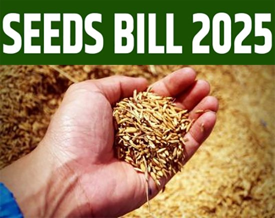seeds bill 2025