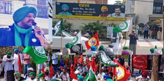 ਸੰਯੁਕਤ ਕਿਸਾਨ ਮੋਰਚੇ ਅਤੇ ਟਰੇਡ ਜਥੇਬੰਦੀਆਂ ਵੱਲੋਂ AAP ਵਿਧਾਇਕ ਦੇ ਦਫ਼ਤਰ ਦਾ ਘਿਰਾਓ, ਸਰਕਾਰੀ ਜ਼ਮੀਨਾਂ ਵੇਚਣ ਅਤੇ ਪੁਲਿਸ ਜਬਰ ਵਿਰੁੱਧ ਦਿੱਤੀ ਚਿਤਾਵਨੀ