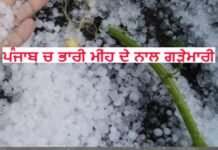 Weather Update: ਪੰਜਾਬ ‘ਚ ਭਾਰੀ ਮੀਂਹ ਦੇ ਨਾਲ ਗੜੇਮਾਰੀ! ਮੌਸਮ ਵਿਭਾਗ ਵੱਲੋਂ ਅਲਰਟ ਜਾਰੀ