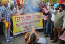 ਅਧਿਆਪਕਾਂ ਦੀ ਸੇਵਾ ਸੁਰੱਖਿਆ ਦੀ ਬਜਾਏ ਪੁਲਸੀਆ ਤਸ਼ੱਦਦ ਵਿਰੁੱਧ ਪੰਜਾਬ ਸਰਕਾਰ ਦੀਆਂ ਅਰਥੀ ਫੂਕੀ