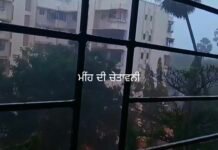 ਭਾਰੀ ਮੀਂਹ ਨੇ ਮਚਾਈ ਤਬਾਈ, ਚਾਰ ਲੋਕਾਂ ਦੀ ਮੌਤ