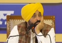 Education News: ਸਰਕਾਰੀ ਸਕੂਲਾਂ ‘ਚ ਅਸੀਂ 15,000 ਤੋਂ ਵੱਧ ਅਧਿਆਪਕਾਂ ਦੀ ਕੀਤੀ ਭਰਤੀ; ਭਗਵੰਤ ਮਾਨ ਦਾ ਵੱਡਾ ਦਾਅਵਾ