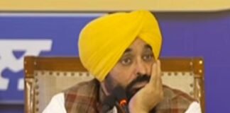 Education News: ਸਰਕਾਰੀ ਸਕੂਲਾਂ ‘ਚ ਅਸੀਂ 15,000 ਤੋਂ ਵੱਧ ਅਧਿਆਪਕਾਂ ਦੀ ਕੀਤੀ ਭਰਤੀ; ਭਗਵੰਤ ਮਾਨ ਦਾ ਵੱਡਾ ਦਾਅਵਾ