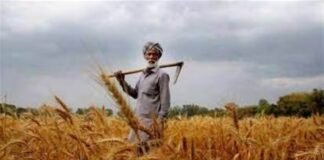 Punjab News: ਭਗਵੰਤ ਮਾਨ ਸਰਕਾਰ ਖਾਲੀ ਖਜ਼ਾਨਾ ਭਰਨ ਲਈ ਹੁਣ ਕਿਸਾਨਾਂ ਦੀ ਜ਼ਮੀਨ ਨੀਲਾਮ ਕਰਨ ’ਤੇ ਤੁਲੀ: ਬਲਬੀਰ ਸਿੱਧੂ