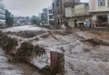 Pak Breaking: ਭਾਰੀ ਮੀਂਹ ਨੇ ਮਚਾਈ ਤਬਾਹੀ, 14 ਬੱਚਿਆਂ ਸਮੇਤ 17 ਲੋਕਾਂ ਦੀ ਮੌਤ