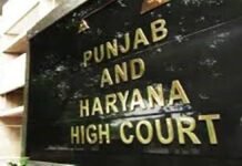 ਪੰਜਾਬ-ਹਰਿਆਣਾ ਹਾਈਕੋਰਟ ਦਾ ਇਨ੍ਹਾਂ ਮੁਲਾਜ਼ਮਾਂ ਨੂੰ ਵੱਡਾ ਝਟਕਾ; ਪੜ੍ਹੋ ਪੂਰਾ ਮਾਮਲਾ