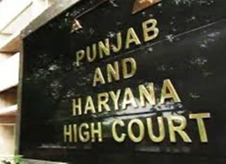 Breaking: ਕੱਚੇ ਅਧਿਆਪਕਾਂ ਦੇ ਹੱਕ ‘ਚ ਹਾਈਕੋਰਟ ਦਾ ਵੱਡਾ ਫ਼ੈਸਲਾ, ਪੜ੍ਹੋ ਪੂਰੀ ਖ਼ਬਰ