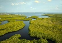 ਵਿਸ਼ਵ ਜਲ ਦਿਵਸ ‘ਤੇ ਵਿਸ਼ੇਸ਼! ਜਲ ਦੀ ਰੱਖਿਆ- ਭਵਿੱਖ ਦੀ ਸੁਰੱਖਿਆ