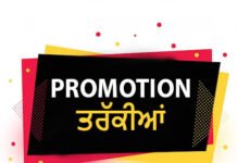 ਪੰਜਾਬ ਸਰਕਾਰ ਦਾ ਵੱਡਾ ਫੈਸਲਾ: 13 ਨਾਇਬ ਤਹਿਸੀਲਦਾਰਾਂ ਨੂੰ ਤਹਿਸੀਲਦਾਰ ਵਜੋਂ ਦਿੱਤੀ ਤਰੱਕੀ