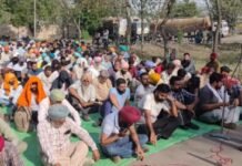 ਥਰਮਲ ਦੇ ਠੇਕਾ ਮੁਲਾਜ਼ਮਾਂ ਨੇ ਘੇਰੀ ਭਗਵੰਤ ਮਾਨ ਸਰਕਾਰ; ਵਿਭਾਗ ‘ਚ ਪੱਕਾ ਕਰਨ ਦੀ ਕੀਤੀ ਮੰਗ