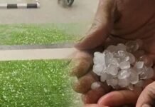 Weather Update: ਪੰਜਾਬ ‘ਚ ਭਾਰੀ ਮੀਂਹ ਦੇ ਨਾਲ ਗੜ੍ਹੇਮਾਰੀ, ਫ਼ਸਲਾਂ ਤਬਾਹ!