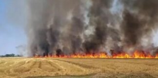 ਪਹਿਲਾਂ ਭਾਰੀ ਮੀਂਹ ਅਤੇ ਗੜ੍ਹੇਮਾਰੀ ਨੇ ਮਚਾਈ ਤਬਾਹੀ ਤਾਂ ਹੁਣ ਭਿਆਨਕ ਅੱਗ ਕਾਰਨ ਸੈਂਕੜੇ ਏਕੜ ਕਣਕ ਦੀ ਫ਼ਸਲ ਸੜ ਕੇ ਹੋਈ ਸੁਆਹ