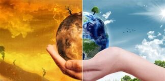 ਵਾਤਾਵਰਨ ਤਬਦੀਲੀ ਦਾ ਕਹਿਰ! ਪੰਜਾਬ ਦੀ ਕਣਕ ‘ਤੇ 35% ਝਾੜ ਘਟਣ ਦਾ ਖ਼ਤਰਾ; ਕੀ ਕਾਰਪੋਰੇਟ ਅਤੇ ਜੰਗਲਾਂ ਦੀ ਕਟਾਈ ਹਨ ਅਸਲ ਜ਼ਿੰਮੇਵਾਰ?