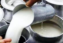 Punjab Breaking: ਪੰਜਾਬ ਸਰਕਾਰ ਵੱਲੋਂ ਦੁੱਧ ਦੀ ਖਰੀਦ ਕੀਮਤ ‘ਚ ਵਾਧਾ
