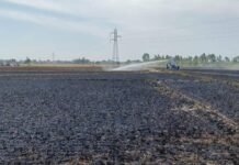 ਵੱਡੀ ਖ਼ਬਰ: ਪੰਜਾਬ ‘ਚ ਅੱਗ ਨੇ ਮਚਾਈ ਤਬਾਹੀ, ਕਿਸਾਨਾਂ ਦੀ ਕਈ ਏਕੜ ਕਣਕ ਸੜ ਕੇ ਸੁਆਹ!