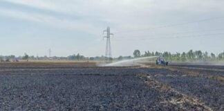 ਵੱਡੀ ਖ਼ਬਰ: ਪੰਜਾਬ ‘ਚ ਅੱਗ ਨੇ ਮਚਾਈ ਤਬਾਹੀ, ਕਿਸਾਨਾਂ ਦੀ ਕਈ ਏਕੜ ਕਣਕ ਸੜ ਕੇ ਸੁਆਹ!