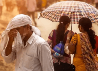 Weather Update: ਪੰਜਾਬ ਸਮੇਤ ਕਈ ਸੂਬਿਆਂ ਲਈ ਅਲਰਟ ਜਾਰੀ! ਕੁੱਝ ਥਾਵਾਂ ‘ਤੇ ਮੀਂਹ ਦੀ ਸੰਭਾਵਨਾ; 13 ਰਾਜਾਂ ਵਿੱਚ Heatwave ਦੀ ਚੇਤਾਵਨੀ