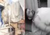 Bus Accident: ਪੰਜਾਬ ‘ਚ ਵਾਪਰਿਆ ਵੱਡਾ ਹਾਦਸਾ! ਬੱਸ ਦੀ ਟਰੱਕ ਨਾਲ ਹੋਈ ਟੱਕਰ; ਡਰਾਈਵਰ ਦੀ ਮੌਤ- 15 ਸਵਾਰੀਆਂ ਗੰਭੀਰ ਜ਼ਖ਼ਮੀ