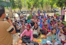 Teacher Protest News: ਸਿੱਖਿਆ ਵਿਰੋਧੀ ਨੀਤੀਆਂ ਅਤੇ ਜਨਗਣਨਾ ਡਿਊਟੀਆਂ ‘ਚ ਪੱਖਪਾਤ ਖ਼ਿਲਾਫ਼ DTF ਵੱਲੋਂ ਵਿਸ਼ਾਲ ਧਰਨਾ
