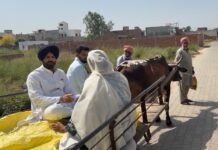 Raja Warring News! ਰਾਜਾ ਵਡਿੰਗ ਬੈਲ ਗੱਡੀ ‘ਤੇ…!