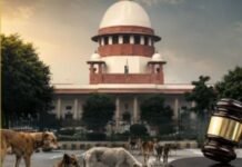 Supreme Court Stray Dogs Decision! ਵੱਡੀ ਖ਼ਬਰ: ਸੁਪਰੀਮ ਕੋਰਟ ਵੱਲੋਂ ਖ਼ਤਰਨਾਕ ਕੁੱਤਿਆਂ ਨੂੰ ਮਾਰਨ ਦੇ ਹੁਕਮ!