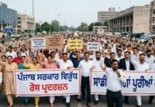 Education Department ਵੱਲੋਂ ਅਧਿਆਪਕਾਂ ਨੂੰ ਨੌਕਰੀ ਤੋਂ ਕੱਢਣ ਦੇ ਨੋਟਿਸ! ਸਾਂਝਾ ਅਧਿਆਪਕ ਮੋਰਚਾ ਨੇ ਕੀਤਾ ਵੱਡੇ ਸੰਘਰਸ਼ ਦਾ ਐਲਾਨ