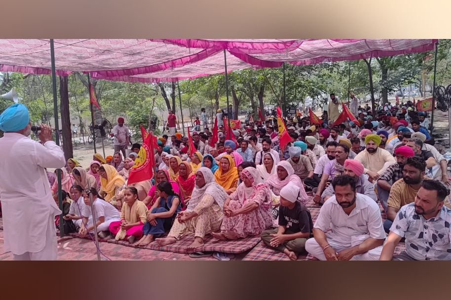 Punjab News