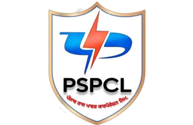 ਡਿਊਟੀ ਦੌਰਾਨ ਕਰੰਟ ਲੱਗਣ ਕਾਰਨ PSPCL ਦੇ ਨਵ-ਨਿਯੁਕਤ ਮੁਲਾਜ਼ਮ ਦੀ ਮੌਤ