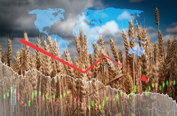 Wheat Prices